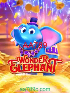 WonderElephant